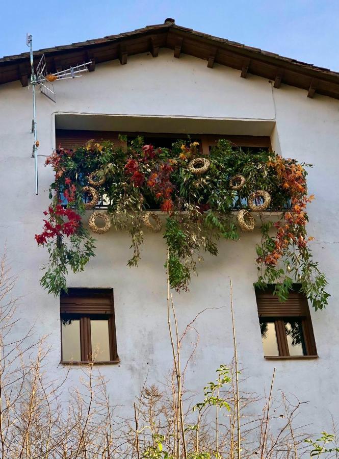 Apartamentos En El Valle Del Jerte Flores Para Angela Cabezuela Del Valle Eksteriør bilde